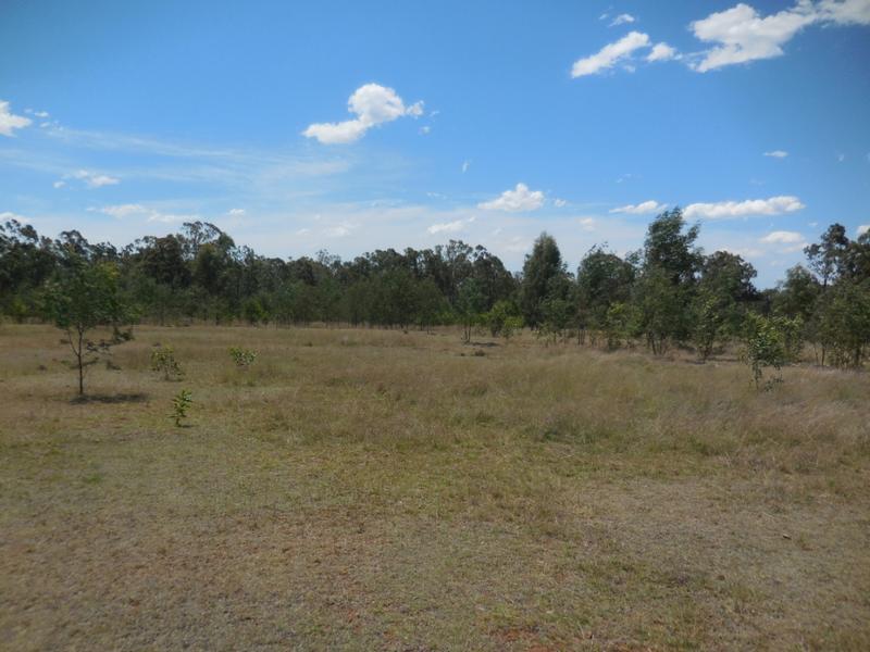 210 acres 5 minutes from Wondai