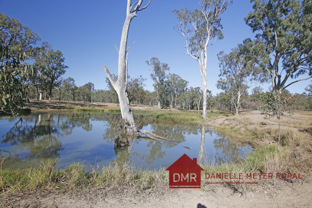 SOUGHT AFTER BREEDER COUNTRY NEAR MONTO
